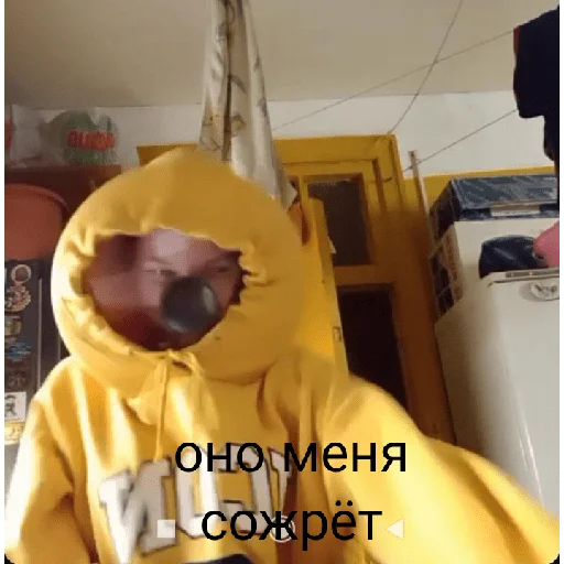 Sticker бибра - 1