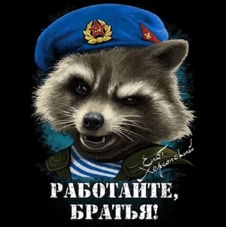 Sticker Телеграмм канал Харьковское направление - 8