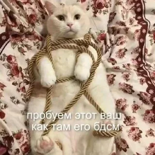 Sticker 💕Стики тут: @sekstick - 6