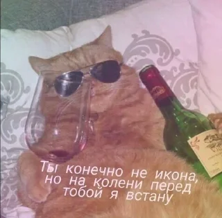 Sticker 💕Стики тут: @sekstick - 1