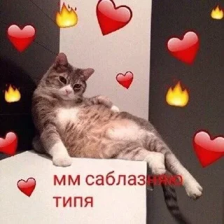 Sticker 💕Стики тут: @sekstick - 3