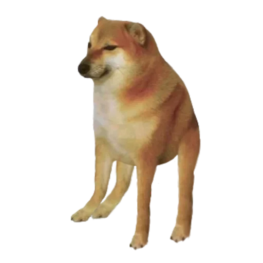 Sticker CBrhGEpgaIixg_by_stickers_stealer_bot - 1