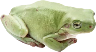 Стикер Больше стикеров 👉🏻 @stickertg4 - 0