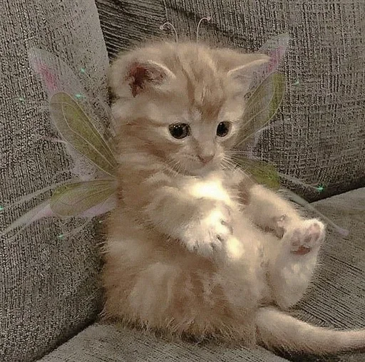 Стикер Стики из @Anonymnyi_chat_bot - 10