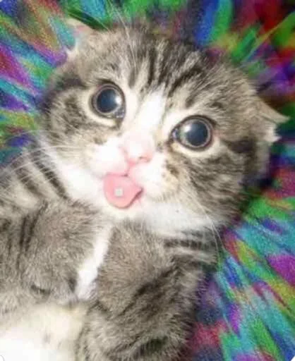 Стикер Стики из @Anonymnyi_chat_bot - 3