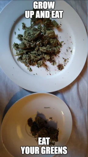 plate dishware tableware