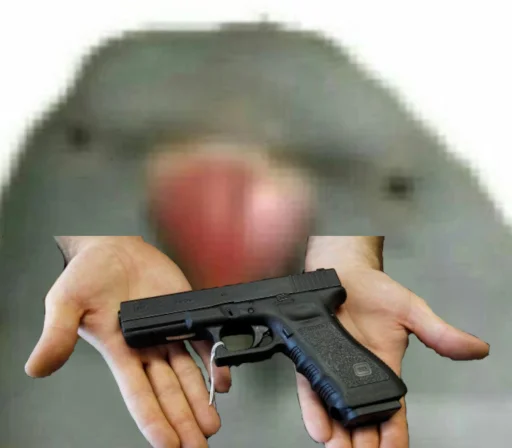 weapon firearm person