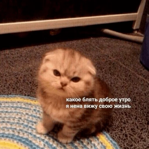 Sticker CHLENCHIK - 1