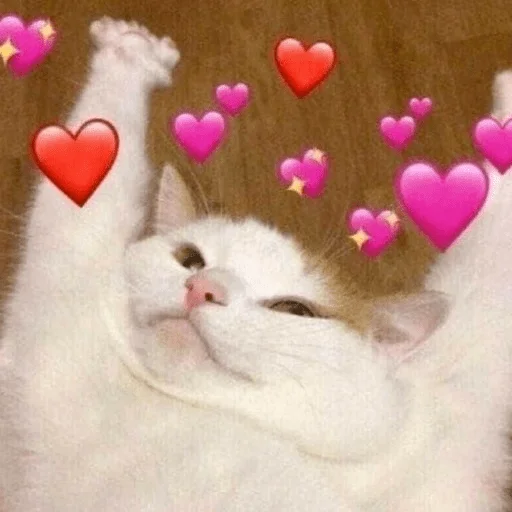 ебать ты чёрт! - 