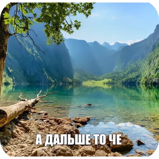 Sticker CHONGUK14 - 1