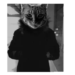 Sticker @btszvzvzv - 3