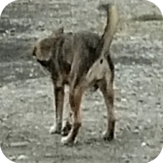 Стикер Чел ты..(Стикс: культурни) - 2