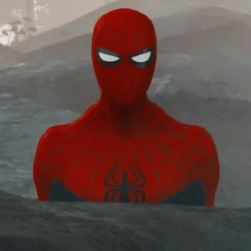 Sticker CHelovekPaukCherezVselennye4 - 1