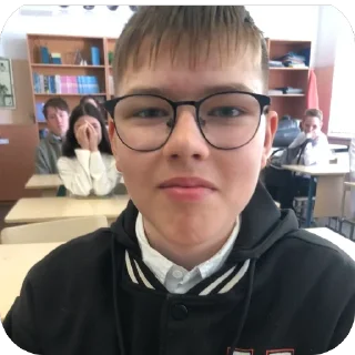 Sticker Черный и белый и косматый и всё крч - 11