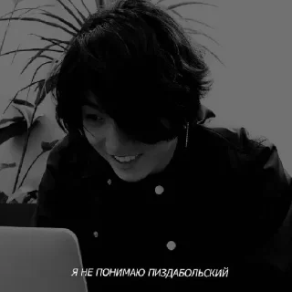 Sticker Черный лес - 2