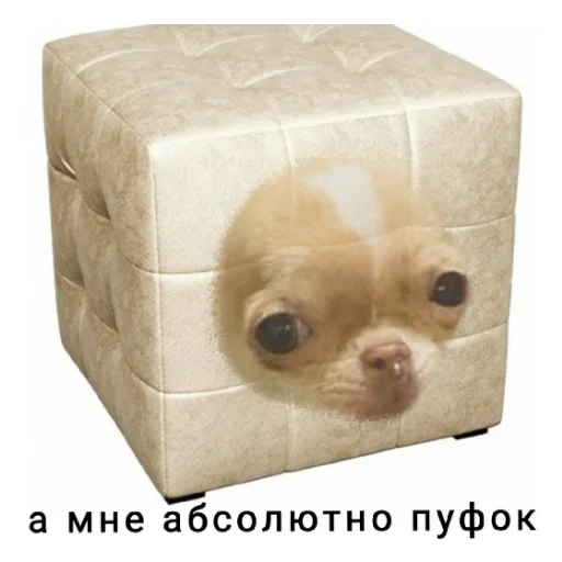 Sticker Чихуи и... - 4