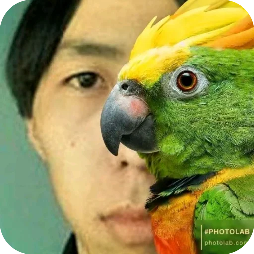 Sticker CHimin99 - 1