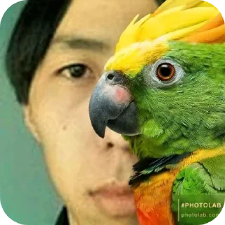 Sticker Чимин - 7