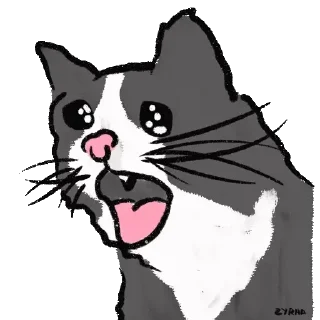 Sticker Чипи чипи чапа чапа руви руви - 0