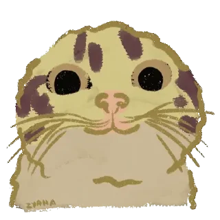 Sticker Чипи чипи чапа чапа руви руви - 4