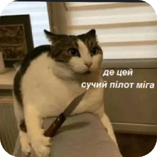 Sticker Чисто для чата СС - 2