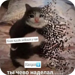 Sticker Чисто для чата СС - 0