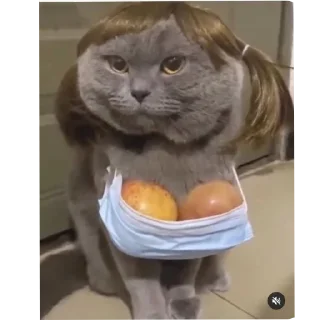 Sticker Чисто для чата СС - 10