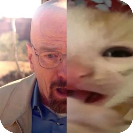 Sticker CHlenyyyyyyy - 1