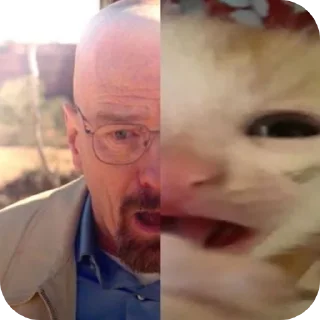 Стикер Членыыыыыыы - 5