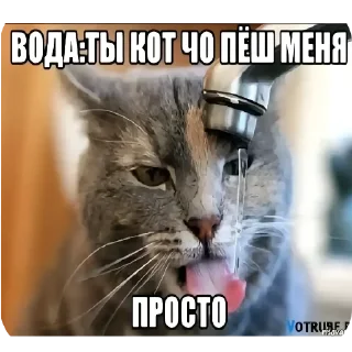 Стикер Членыыыыыыы - 9