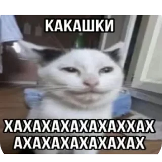 Стикер Членыыыыыыы - 8