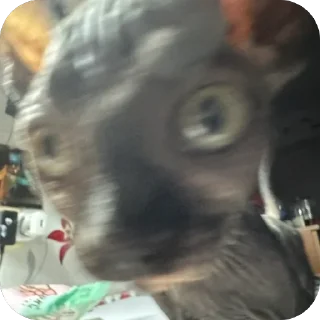 Sticker Чорни - 11