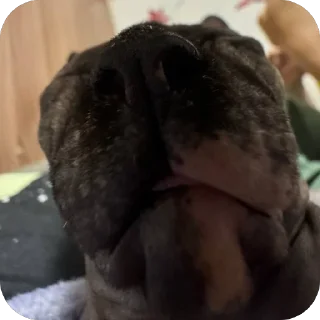 Sticker Чорни - 7