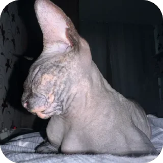 Sticker Чорни - 10