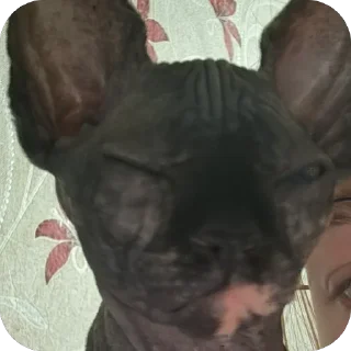 Sticker Чорни - 4