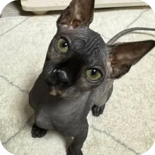 Sticker Чорни - 6