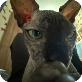 Sticker Чорни - 9