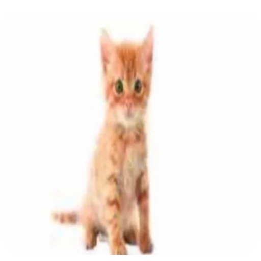 Стикер CHozzabreto8 - 1