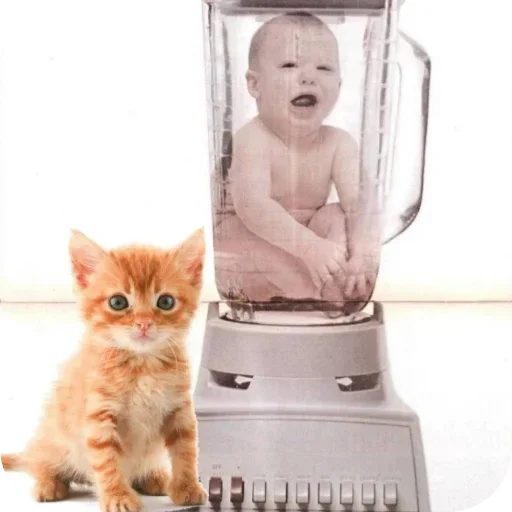 Рыжык@itsheeshit - 