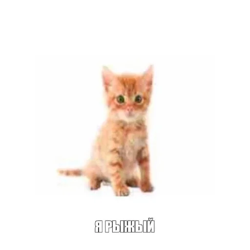 Стикер CHozzabreto8 - 1