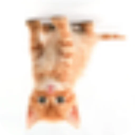 Стикер CHozzabreto8 - 1