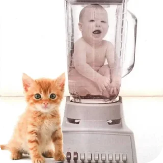 Стикер Рыжык@itsheeshit - 6