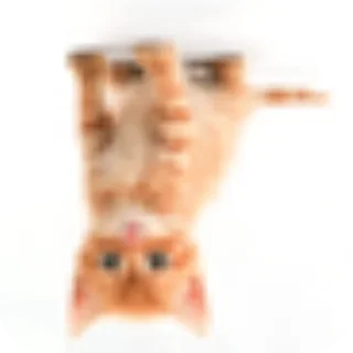 Стикер Рыжык@itsheeshit - 3