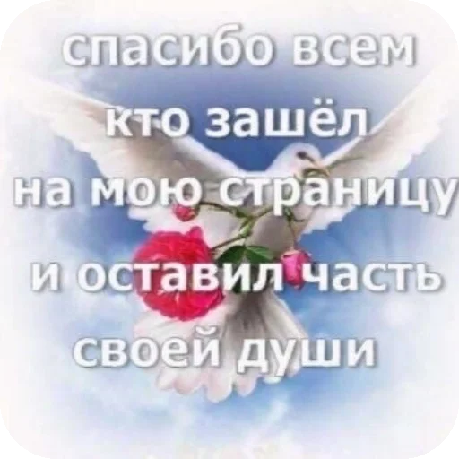 Чсв - 