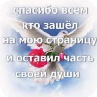Sticker Чсв - 7