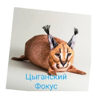 Стикер Что? - 7