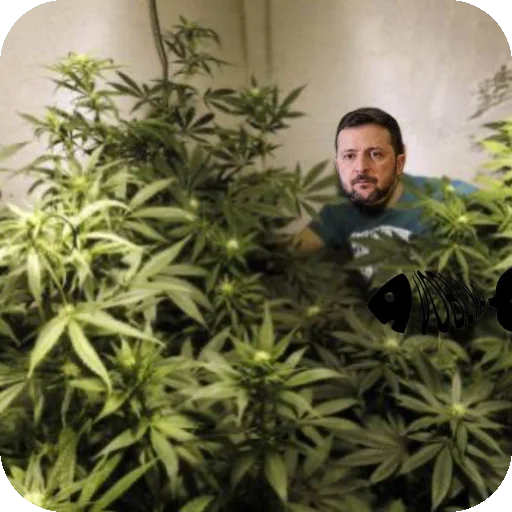 Sticker CHto7637 - 1