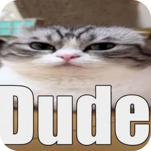 Sticker CHto7637 - 1