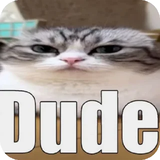 Sticker Зачем? - 4