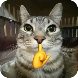 Sticker Зачем? - 9